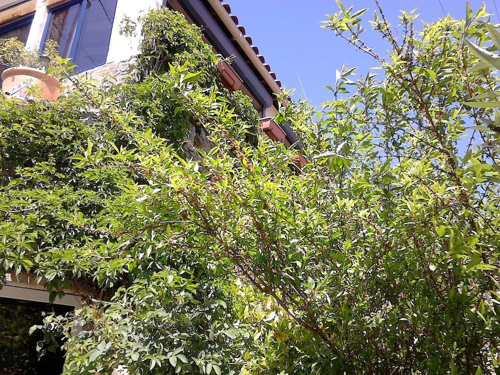 LʼHospitalet-du-Larzac La Citadelle Bed & Breakfast エクステリア 写真